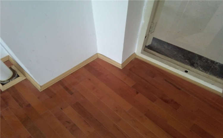 希望今天遇见你